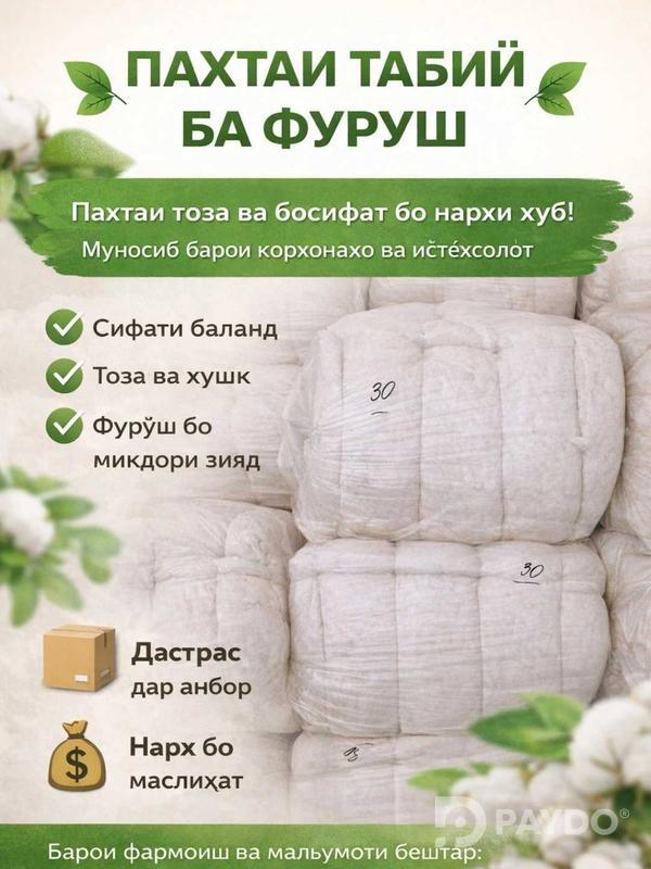 пахтай тоза бо сифат