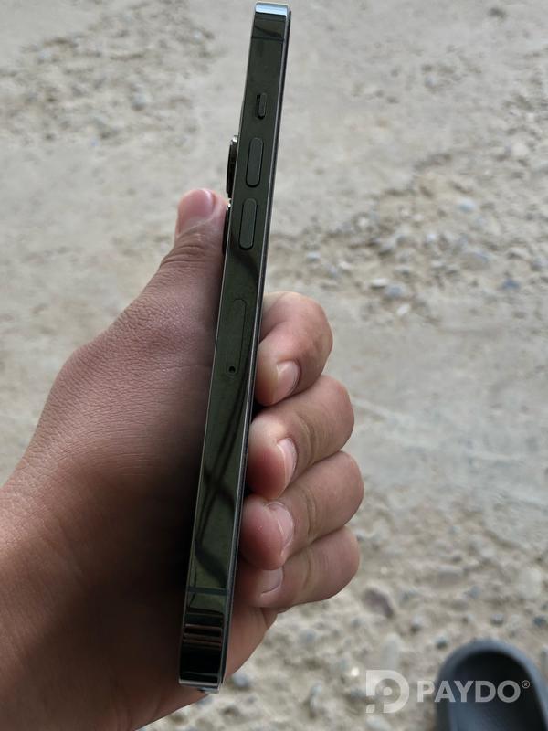 Apple iPhone 13 Pro • 128 ГБ • Альпийский зеленый