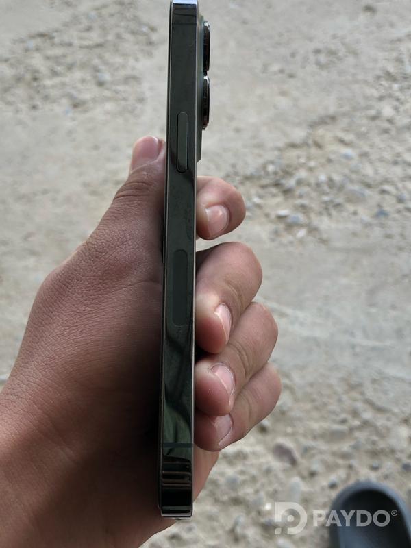 Apple iPhone 13 Pro • 128 ГБ • Альпийский зеленый