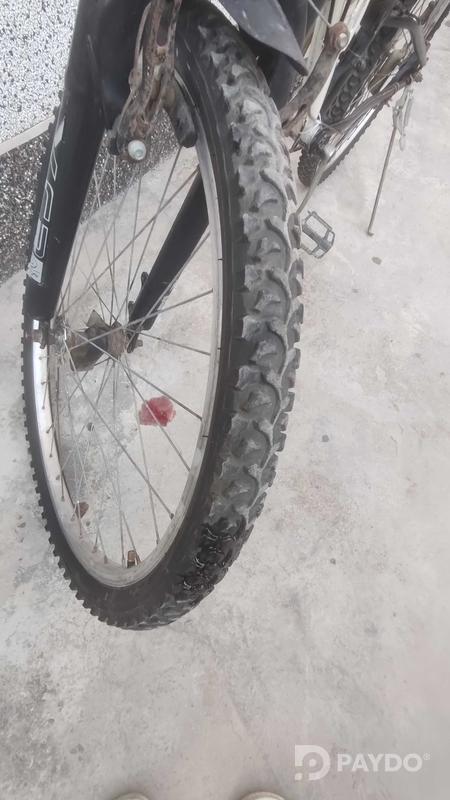 Bicycle