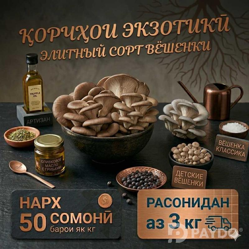 Грибы