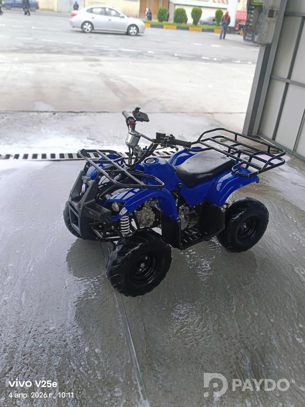 Мотоцикл • ATV-TY • 125.0 куб. см • Автомат