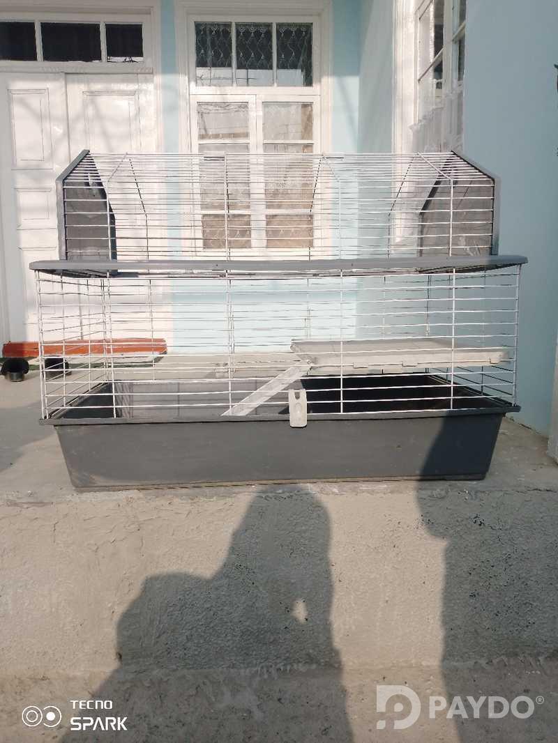 Клетка