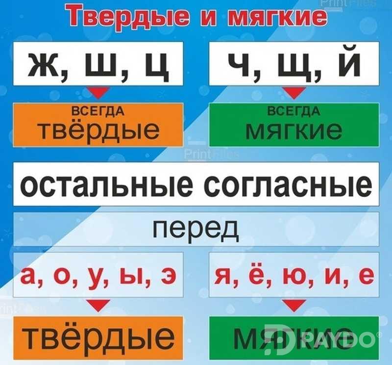 Услуги учителя русского языка