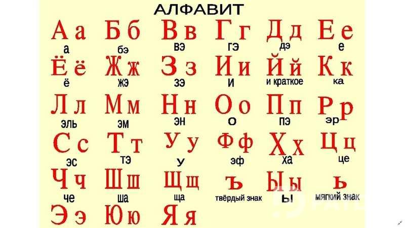 Услуги учителя русского языка