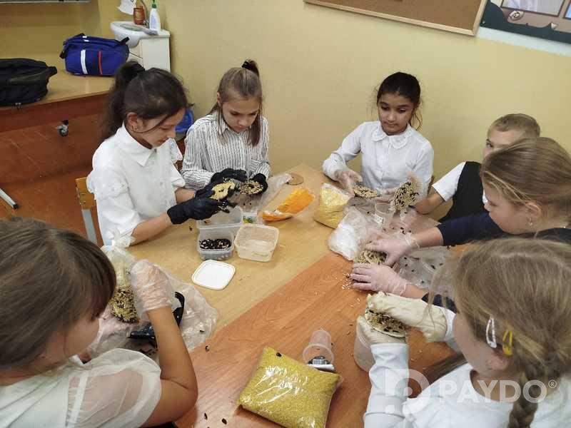 Услуги учителя русского языка