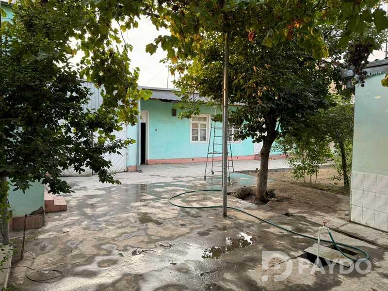 1-room • 9 floor house