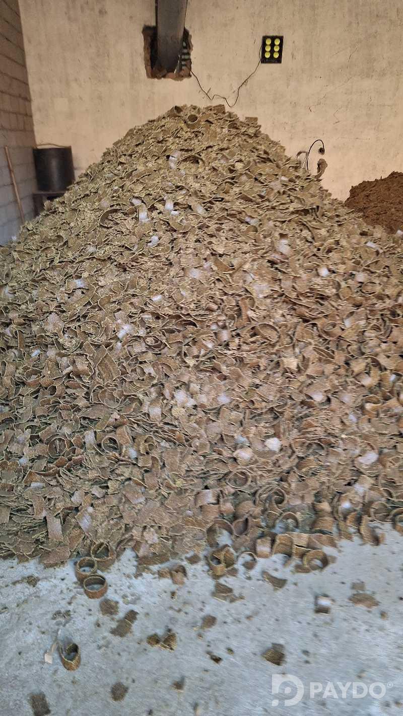 Кунчола