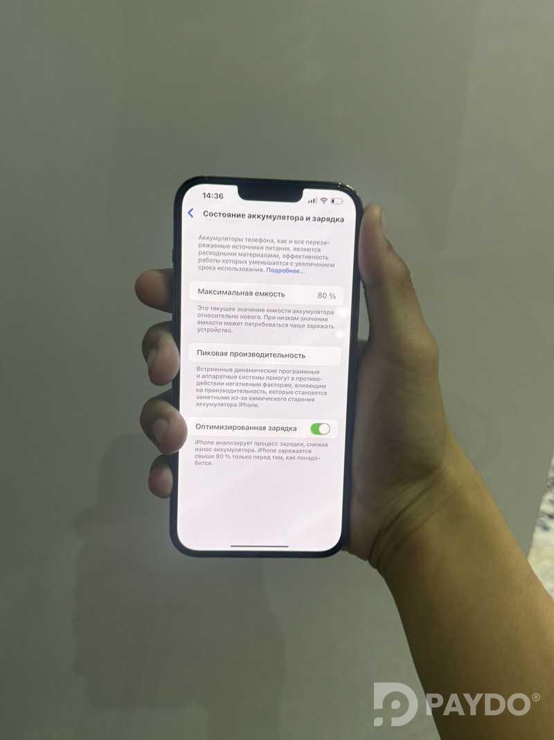 Apple iPhone 13