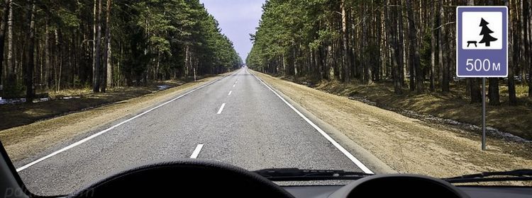 картинка вопроса