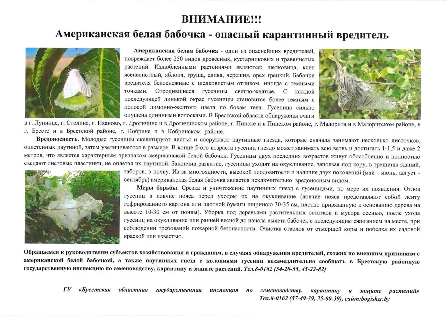 Новость магазина