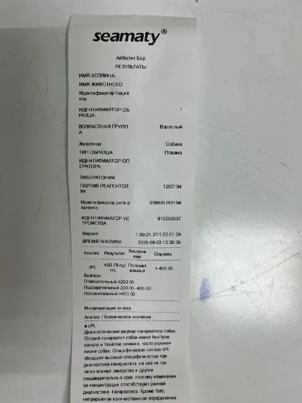 Ищет дом собака в Нижнем Новгороде — фото для опознания, база потерянных питомцев Pathfinder