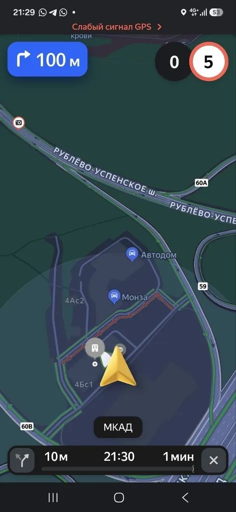 Найдена собака, метис в Москве — фото для опознания, база потерянных питомцев Pathfinder