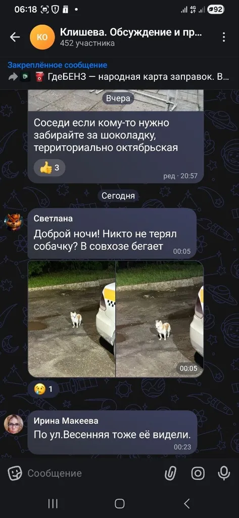 Пропала собака, чихуахуа — город Клишева — фото для опознания, база потерянных питомцев Pathfinder