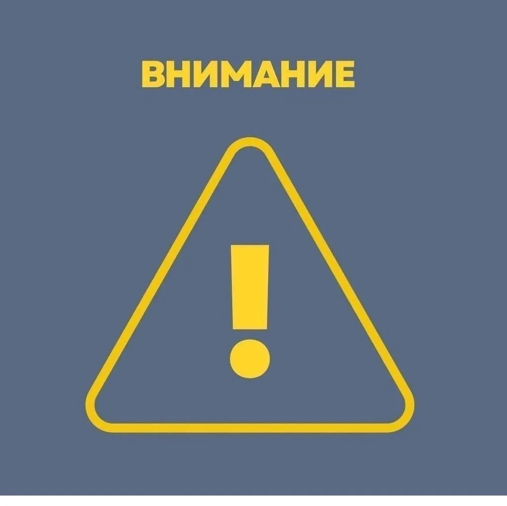 Найдена кошка, русская голубая в Москве — фото для опознания, база потерянных питомцев Pathfinder