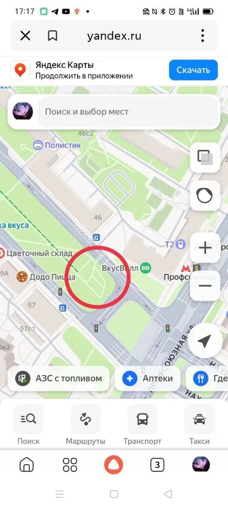 Найдена кошка в Москве — фото для опознания, база потерянных питомцев Pathfinder