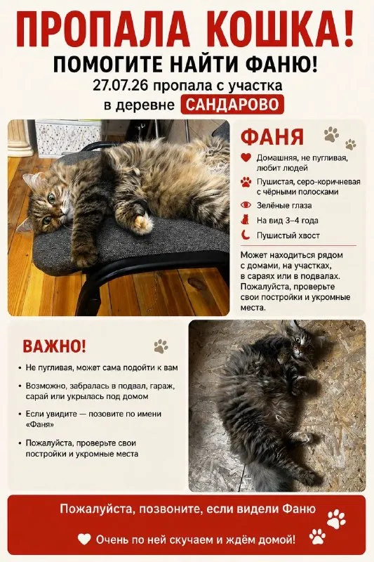Пропала кошка — город Сандарово — фото для опознания, база потерянных питомцев Pathfinder