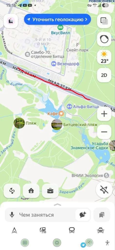 Найден питомец в Москве — фото для опознания, база потерянных питомцев Pathfinder