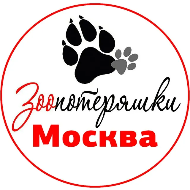 Пропала собака — город Химки — фото для опознания, база потерянных питомцев Pathfinder