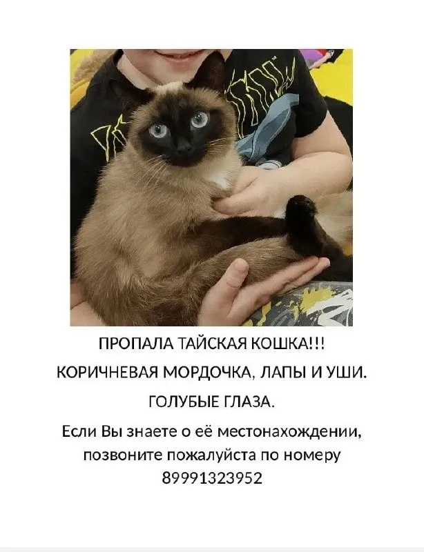 Пропала собака в Уфе — фото для опознания, база потерянных питомцев Pathfinder