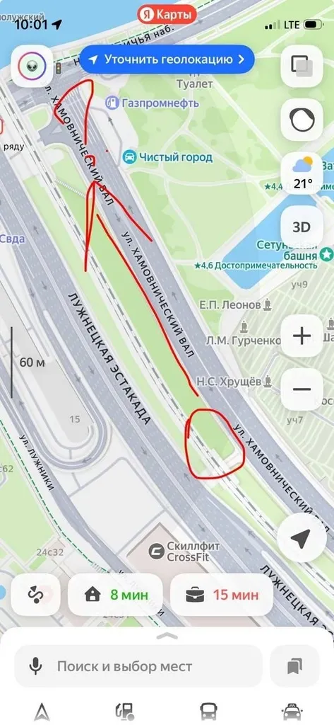 Найдена собака, кокер-спаниель в Москве — фото для опознания, база потерянных питомцев Pathfinder