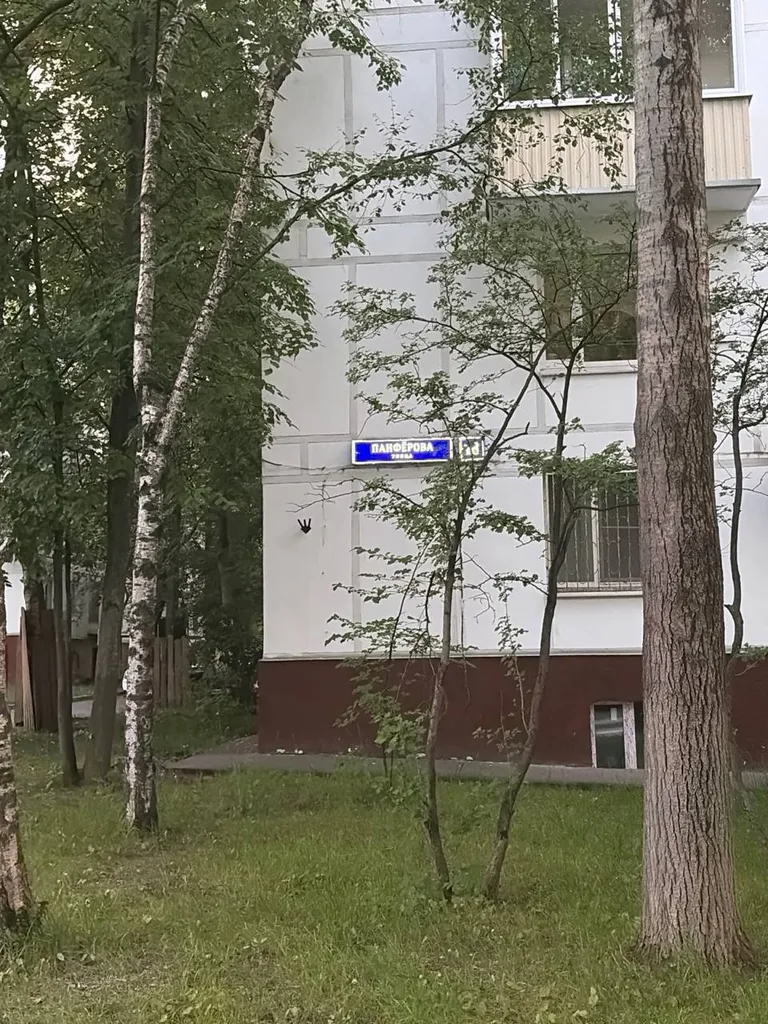 Найдена кошка в Москве — фото для опознания, база потерянных питомцев Pathfinder