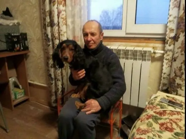 Пропала собака, спаниель — город Сергиев Посад — фото для опознания, база потерянных питомцев Pathfinder
