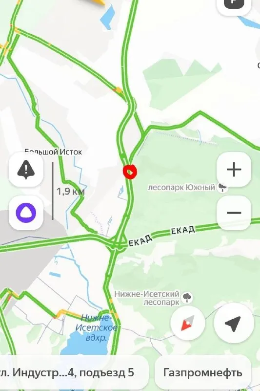 Найдена собака, типа той в Екатеринбурге — фото для опознания, база потерянных питомцев Pathfinder
