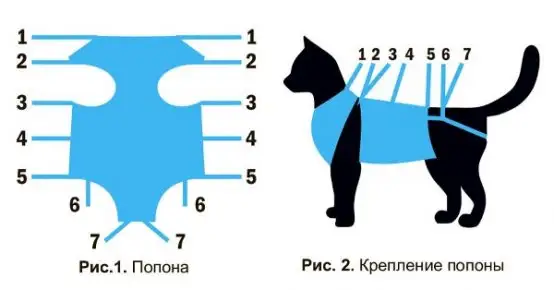 Схема надевания попоны