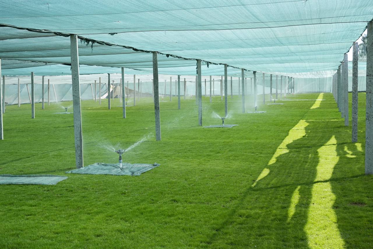 Superliga-2026. Liga 5 ta klubni stadion masalasida rasman ogohlantiradi