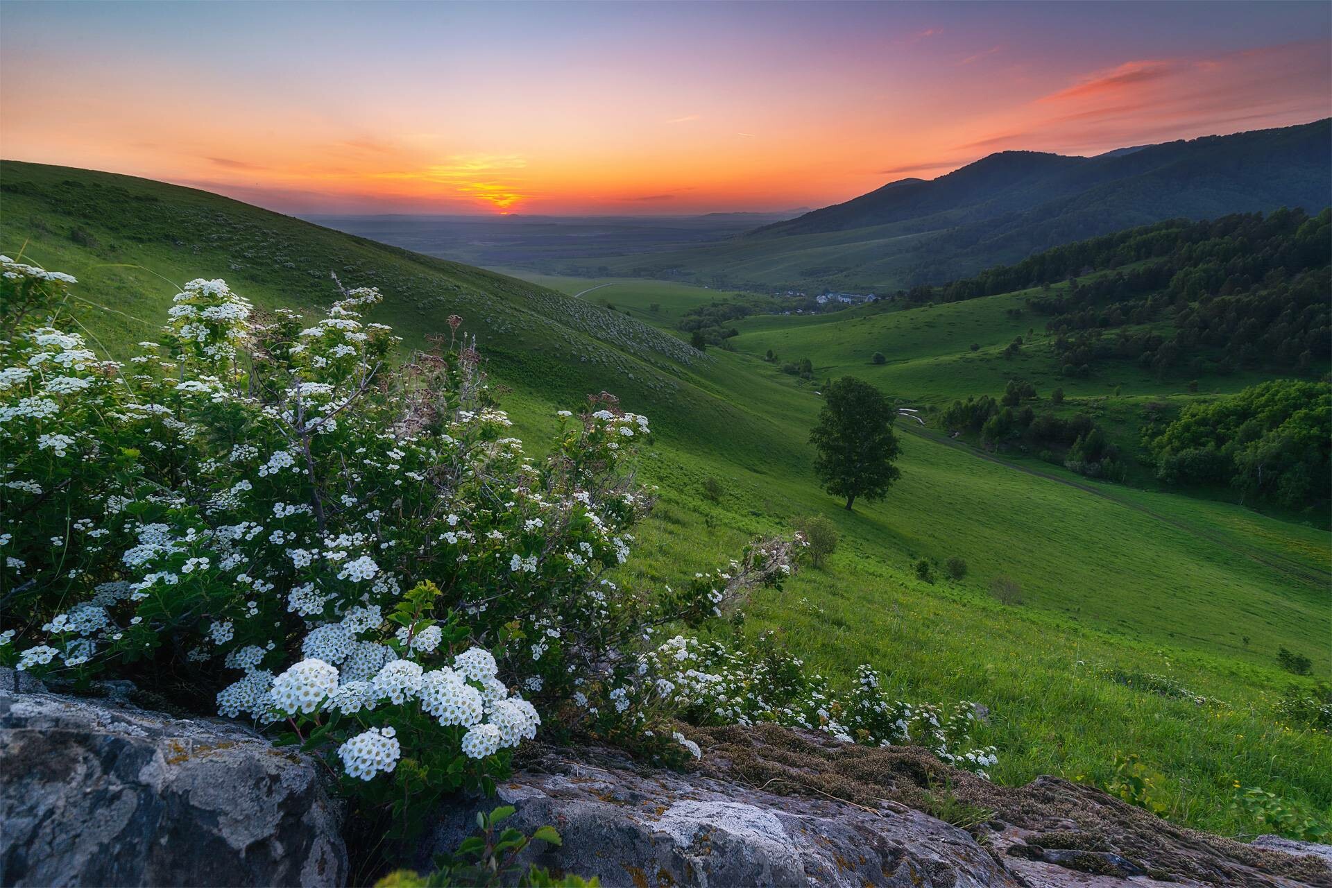 Картинки Алтайский Край Природа