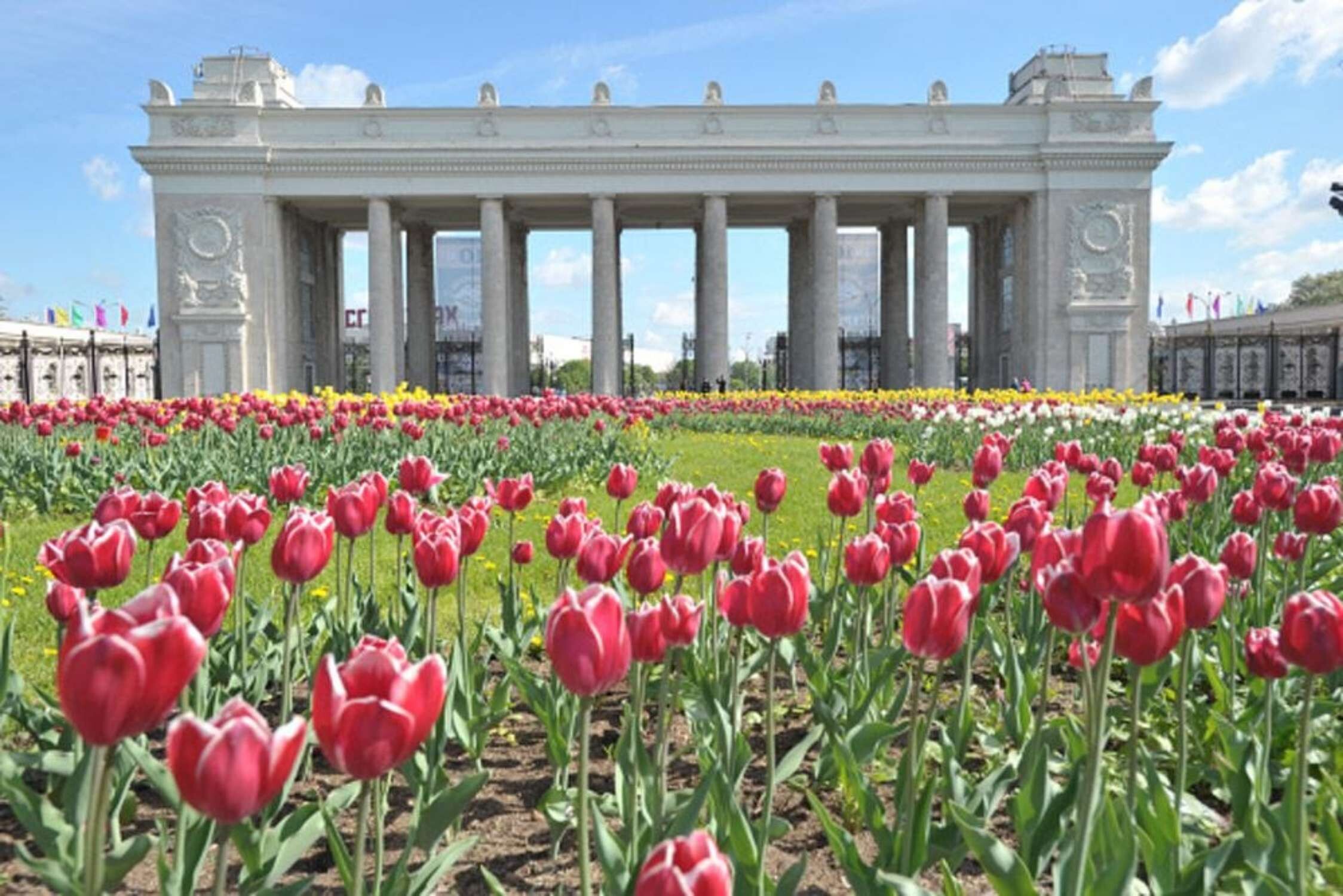 Картинки парк горького