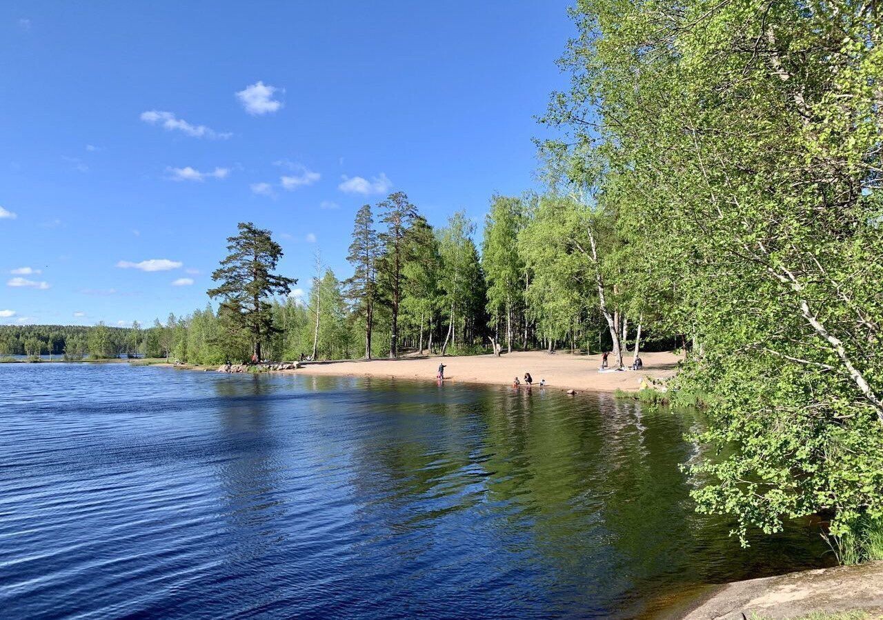 Оз медное. Медное озеро Сертолово. Медный завод Ленинградская область озеро. Озеро Меднозаводский разлив.