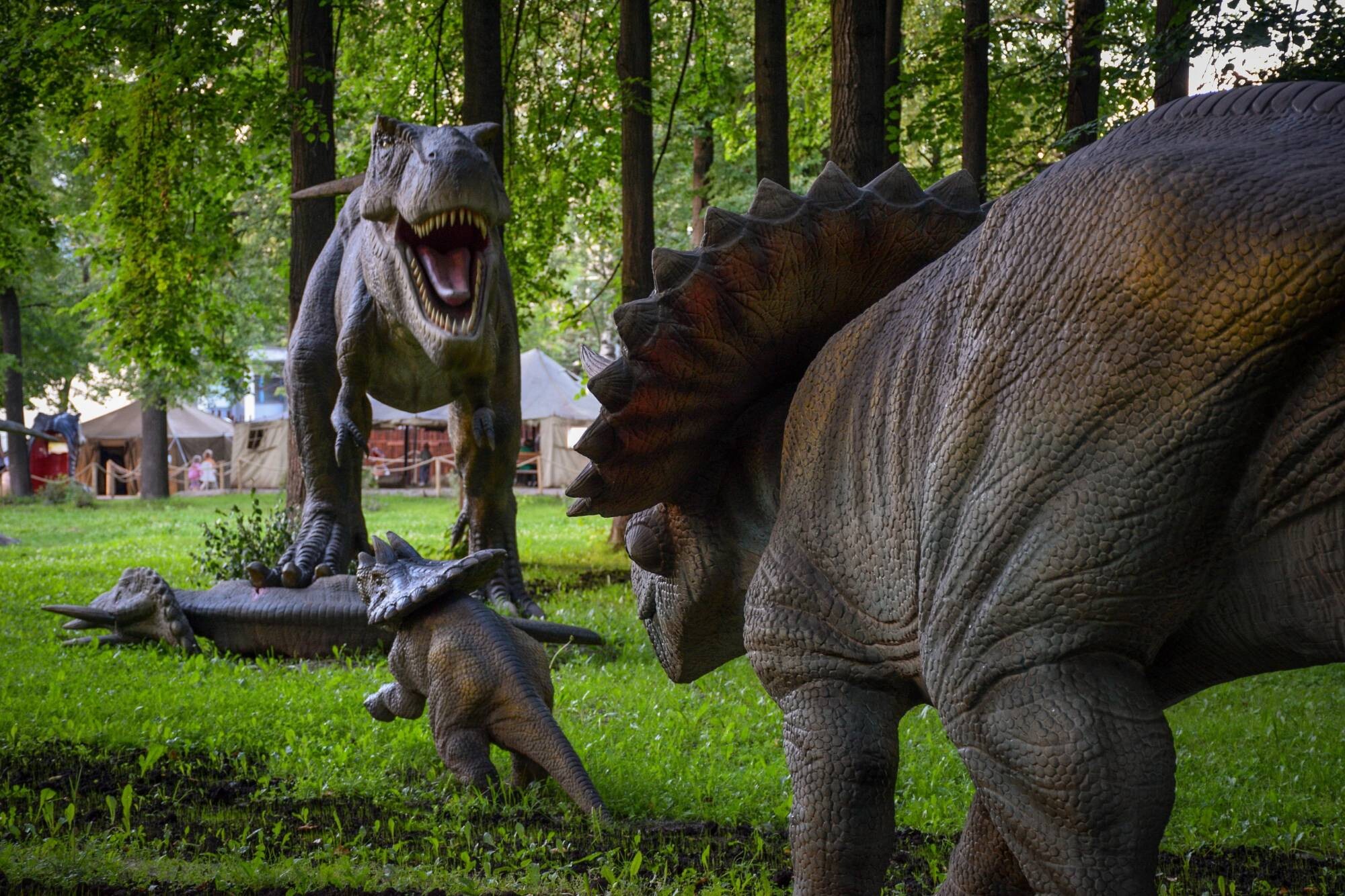 Парк динозавров ярославль. Парк динозавров Новосибирск. Новосибирский зоопарк Динопарк. Динопарк в Челябинске.