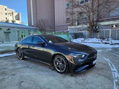 2023 Mercedes-Benz CLS-Class CLS300d 4MATIC — фото 2