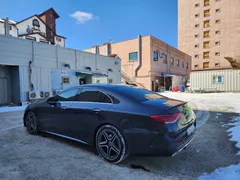 2023 Mercedes-Benz CLS-Class CLS300d 4MATIC — фото 14