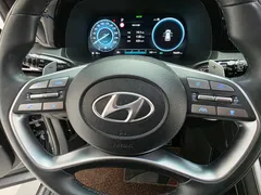 2023 Hyundai Palisade Gasoline 3.8 4WD — фото 20