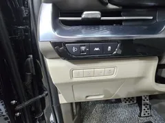 2023 Kia Carnival Gasoline 9-Seater Hi-Limousine — фото 19