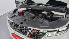 2023 Kia Carnival Diesel 9-Seater Hi-Limousine — фото 6