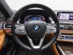 2022 BMW 7-Series 730d xDrive Design Pure Excellence, 갈대색 — фото 15