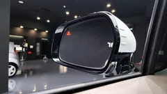 2023 Kia Carnival Gasoline 9-Seater Hi-Limousine — фото 18
