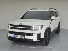 2024 Hyundai Santafe Gasoline 2.5T 4WD — фото 13