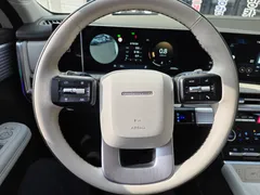 2024 Hyundai Santafe Gasoline 2.5T 2WD — фото 10