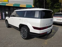 2024 Hyundai Santafe Gasoline 2.5T 2WD — фото 14