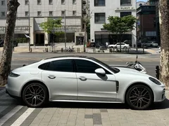 2022 Porsche Panamera 2.9 AWD Platinum Edition — фото 6