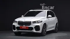 2022 BMW X5 xDrive 30d M Sport — фото 11