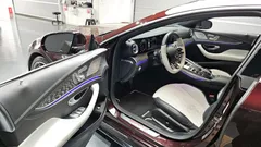 2022 Mercedes-Benz AMG GT 4Door 43 4MATIC+ Special Edition — фото 10