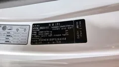 2023 Kia Carnival Diesel 9-Seater Signature — фото 20