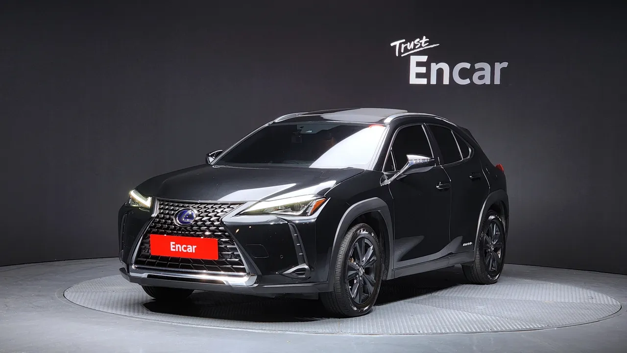 2021 Lexus UX 2.0 2WD