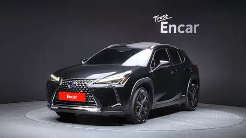 2021 Lexus UX 2.0 2WD